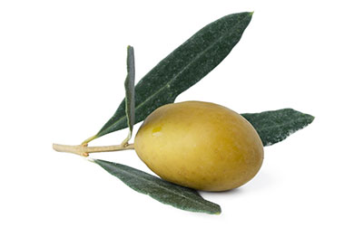 Olerum | Olio extravergine di oliva Sicilia